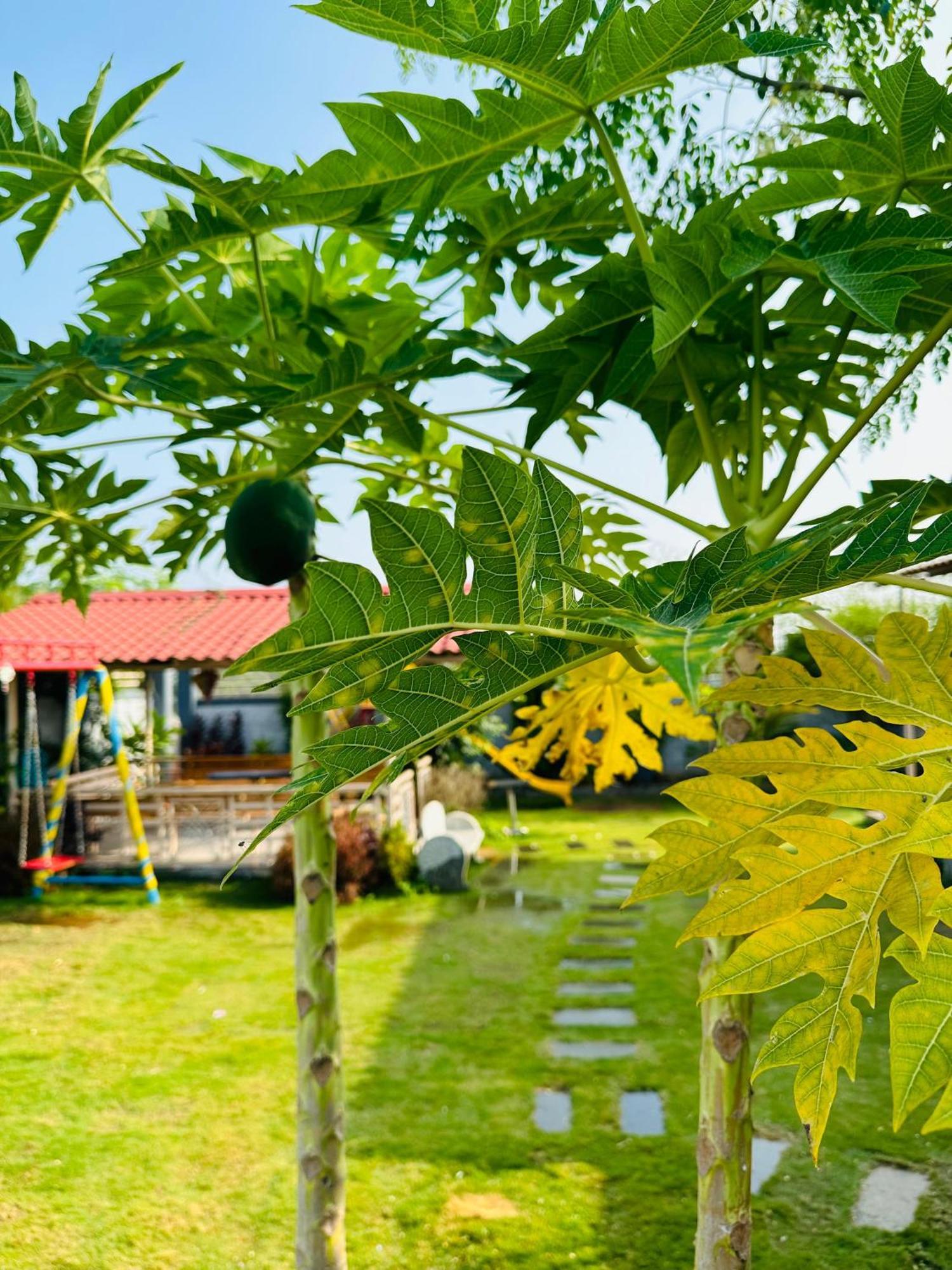 Pk Sahara Farm Stay Mysore Exterior foto